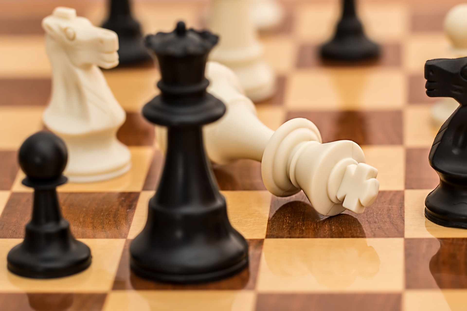Schach Nerd